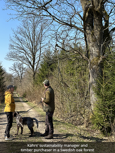 Nature-oak-people-dog.jpg