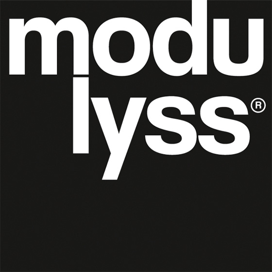 modulyss-logo.jpg
