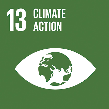 SDG icons EN 13.jpg