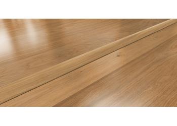 SOLID T-MOULDING 58X12 MM