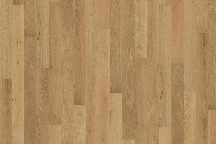 Atelier Eiche CD 11 mm