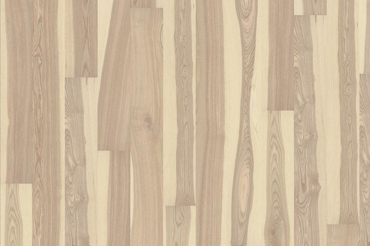 Ясень Сендвиг