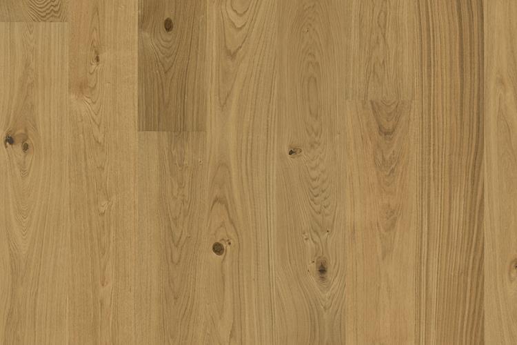 Дуб Корнвол