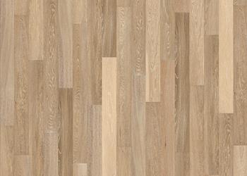 Sand Oak