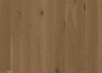 Oak Latte