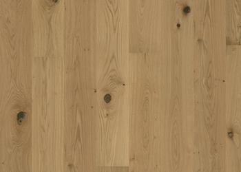 Eiche Aster Naturgeölt