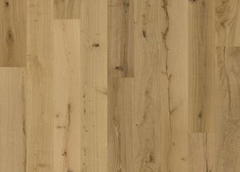 OAK TEXTURE NATUR