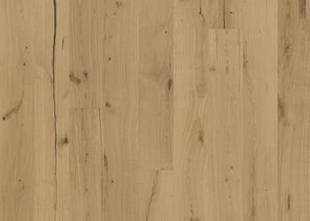 OAK TEXTURE ROHOPTIC