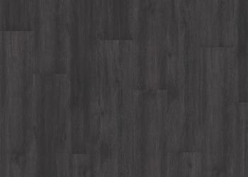 SCHWARZWALD DRY BACK