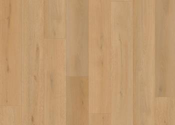 ILLUSION CLICK PLANK 