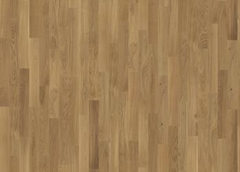 OAK STUDIO CD HB OILED