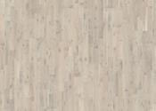 Rovere Shell